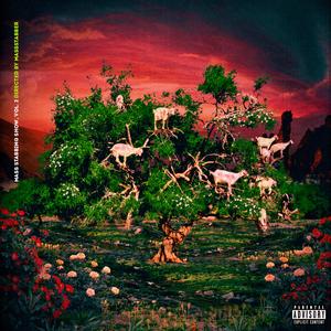 Risk of mayhem (feat. TegaBanti & The Chill)