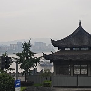 《借了场春风》