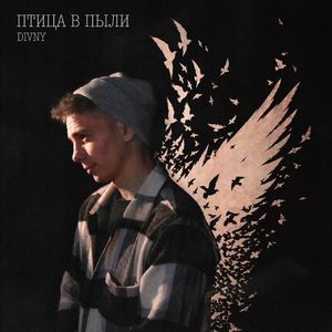 Птица в пыли