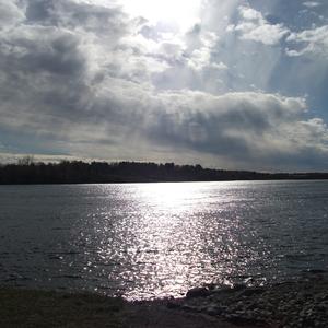 wonderous creatures of the earth