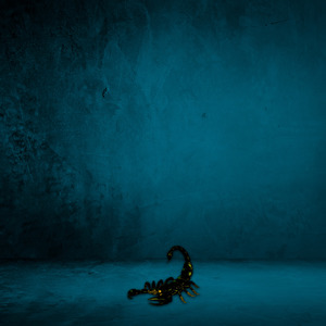 Soldier (Instrumental)