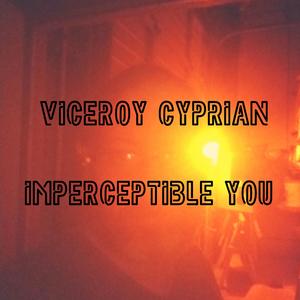 Imperceptible You
