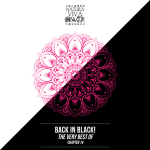 Fields (Airbas Remix)