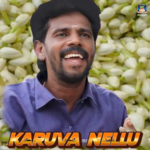 Kuruva Nellu