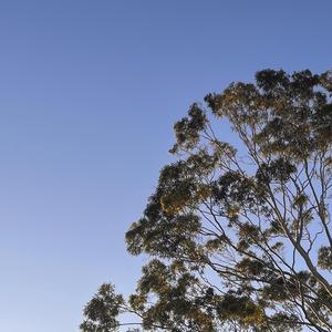 Unhinged (feat. Tokez)