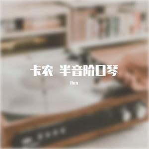 C调卡农 半音阶口琴