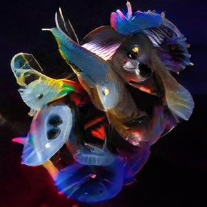 Nederlander (Album Version)