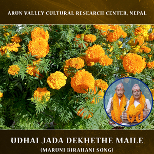 Udhai Jada Dekhethe Maile (Maruni Birahani Song)