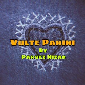 Vulte Parini