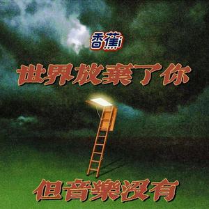 世界放弃了你但音乐没有