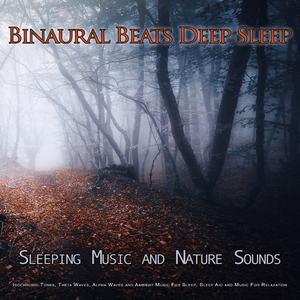 Binaural Beats Deep Sleep