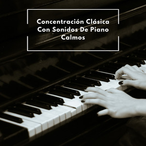 Preludio De Piano Tranquilo Para El Trabajo Productivo