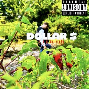 DOLLAR $