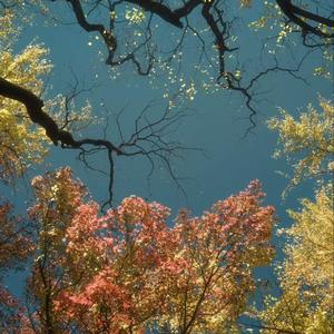 夏天风吹到秋天 草原兄弟