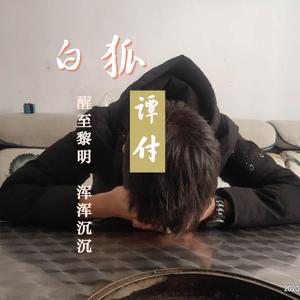 谭付-白狐