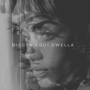 Disgyn Codi Gwella