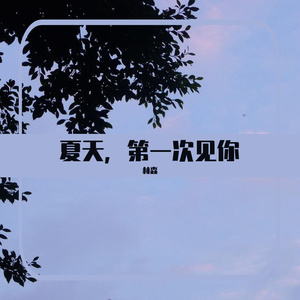 夏天，第一次见你
