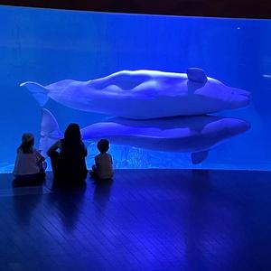 DEEP SEA
