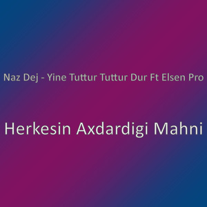 Herkesin Axdardigi Mahni