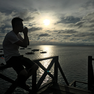 about the harmonica