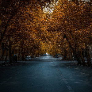 Babe Things