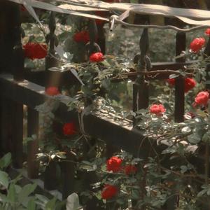 差不多先生 （纯音乐）