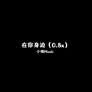 一个大林子-在你身边（0.8x）（小瑞 remix）