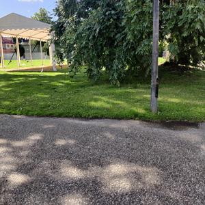 Ordning (Förbudstriangeln)