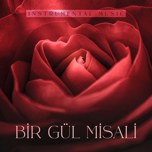 Bir Gül Misali