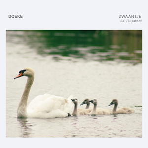 Zwaantje (Little Swan)