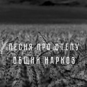 Песня про Степу