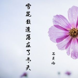 雪花散遗落在了冬天