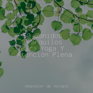 Ecos de una Solitud Fructífera