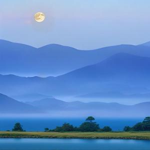 助眠轻音乐 大自然雨声鸟鸣深度催眠
