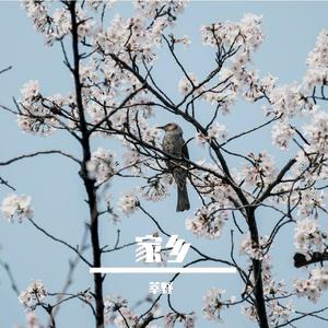 扬州慢·露萤辞-DEMO 伴奏