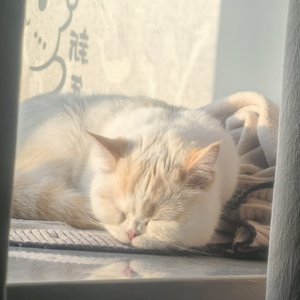 睡眠之歌