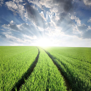 Fractures Walking Away (Mananti Mashup)