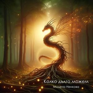 Колко дълго можем