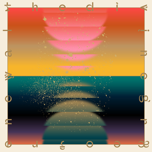 白色琥珀 White Amber