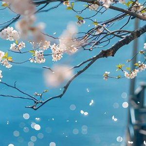 JACKWAVY-《仙剑奇侠传》钢琴版纯音乐（风弱 remix）