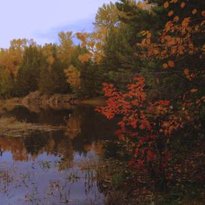 Pt. 8: Starry dream. Slowed Down