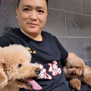 我偷偷数过你的白发-魏强