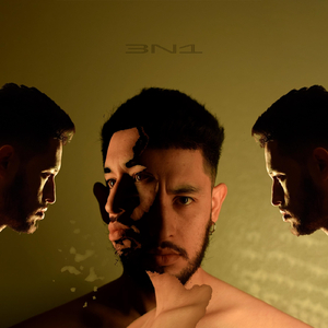 3N1