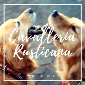 カヴァレリア・ルスティカーナ間奏曲 (ゆったりヒーリング・ソング version)