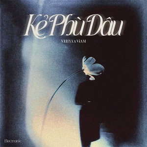 Kẻ Phù Dâu (Electronic)