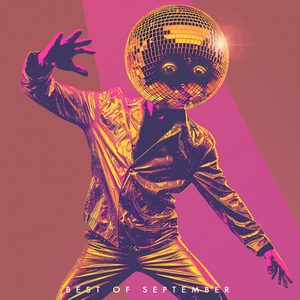 Disco Night Delight (Original Mix)