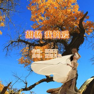 胡杨我的爱