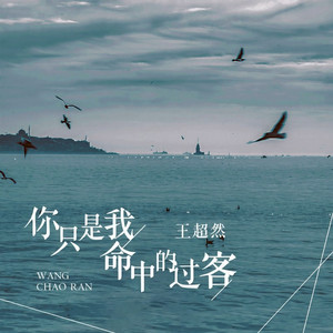 你只是我命中的过客 (伴奏)