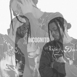 Incognito