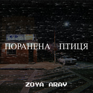 Поранена птиця